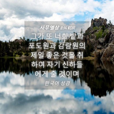 Picture 04 - 사무엘상 8:14 KOR - 그가 또 너희 밭과 포도원과 - Bible Verse Picture