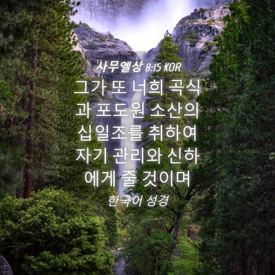 Picture 04 - 사무엘상 8:15 KOR - 그가 또 너희 곡식과 포도원 소산의 - Bible Verse Picture