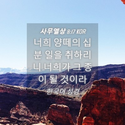 Picture 04 - 사무엘상 8:17 KOR - 너희 양떼의 십분 일을 취하리니 - Bible Verse Picture
