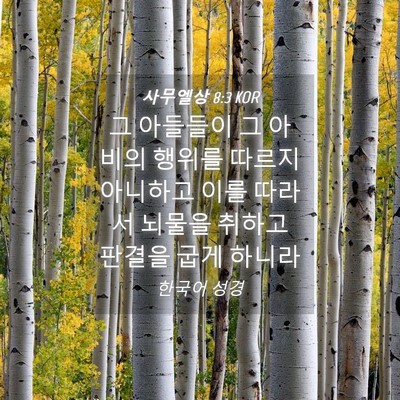 Picture 04 - 사무엘상 8:3 KOR - 그 아들들이 그 아비의 행위를 - Bible Verse Picture