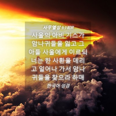 Picture 04 - 사무엘상 9:3 KOR - 사울의 아비 기스가 암나귀들을 잃고 - Bible Verse Picture