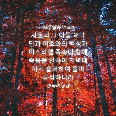 Picture 04 - 사무엘하 1:12 KOR - 사울과 그 아들 요나단과 여호와의 - Bible Verse Picture