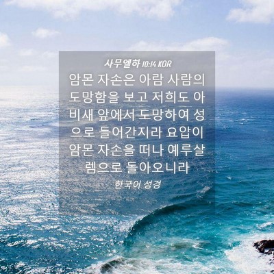 Picture 04 - 사무엘하 10:14 KOR - 암몬 자손은 아람 사람의 도망함을 - Bible Verse Picture