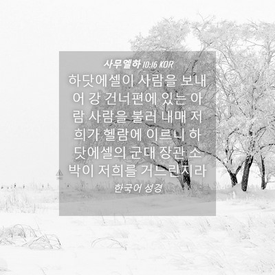 Picture 04 - 사무엘하 10:16 KOR - 하닷에셀이 사람을 보내어 강 - Bible Verse Picture