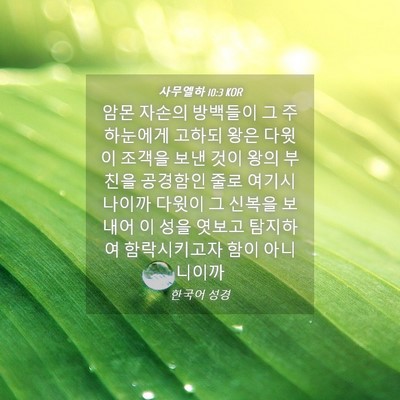 Picture 04 - 사무엘하 10:3 KOR - 암몬 자손의 방백들이 그 주 - Bible Verse Picture