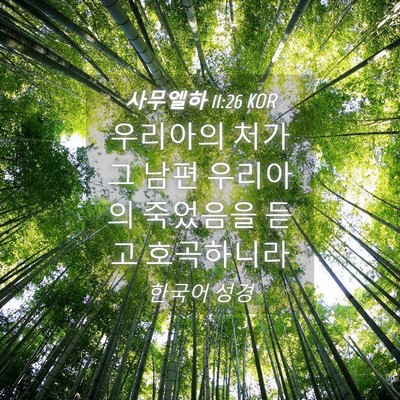 Picture 04 - 사무엘하 11:26 KOR - 우리아의 처가 그 남편 우리아의 - Bible Verse Picture