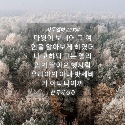 Picture 04 - 사무엘하 11:3 KOR - 다윗이 보내어 그 여인을 알아보게 - Bible Verse Picture