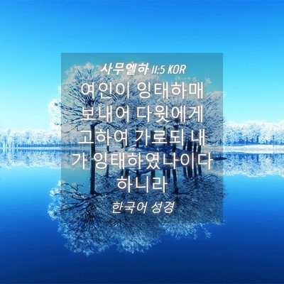 Picture 04 - 사무엘하 11:5 KOR - 여인이 잉태하매 보내어 다윗에게 - Bible Verse Picture