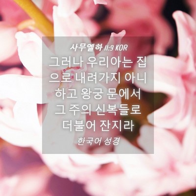 Picture 04 - 사무엘하 11:9 KOR - 그러나 우리아는 집으로 내려가지 - Bible Verse Picture