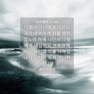 Picture 04 - 사무엘하 12:13 KOR - 다윗이 나단에게 이르되 내가 - Bible Verse Picture
