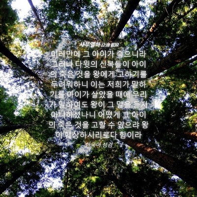 Picture 04 - 사무엘하 12:18 KOR - 이레만에 그 아이가 죽으니라 그러나 - Bible Verse Picture
