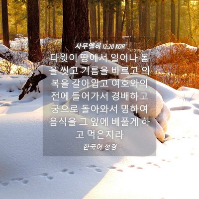 Picture 04 - 사무엘하 12:20 KOR - 다윗이 땅에서 일어나 몸을 씻고 - Bible Verse Picture