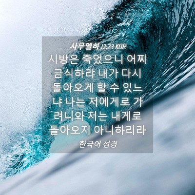 Picture 04 - 사무엘하 12:23 KOR - 시방은 죽었으니 어찌 금식하랴 내가 - Bible Verse Picture