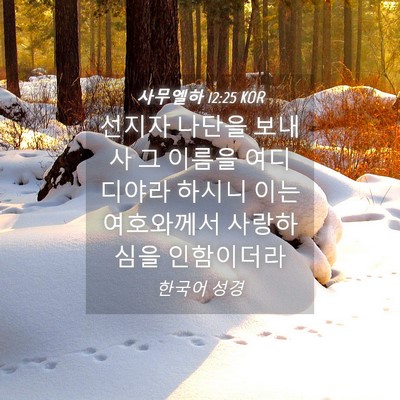 Picture 04 - 사무엘하 12:25 KOR - 선지자 나단을 보내사 그 이름을 - Bible Verse Picture