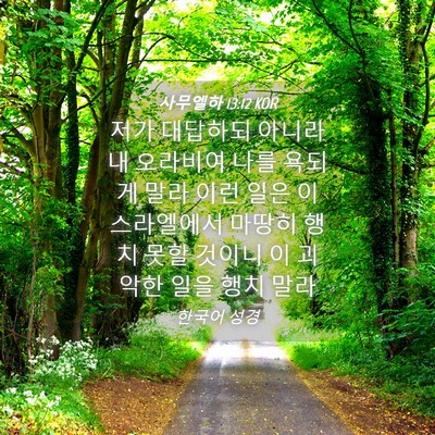 Picture 04 - 사무엘하 13:12 KOR - 저가 대답하되 아니라 내 오라비여 - Bible Verse Picture