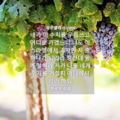Picture 04 - 사무엘하 13:13 KOR - 내가 이 수치를 무릅쓰고 어디로 - Bible Verse Picture