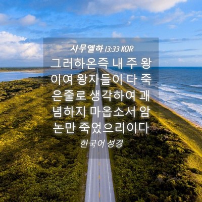 Picture 04 - 사무엘하 13:33 KOR - 그러하온즉 내 주 왕이여 왕자들이 - Bible Verse Picture