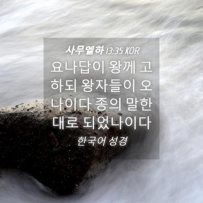 Picture 04 - 사무엘하 13:35 KOR - 요나답이 왕께 고하되 왕자들이 - Bible Verse Picture