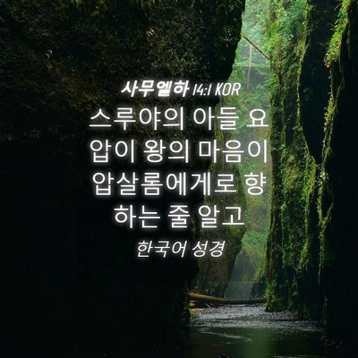Picture 04 - 사무엘하 14:1 KOR - 스루야의 아들 요압이 왕의 마음이 - Bible Verse Picture
