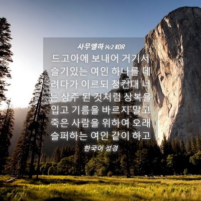 Picture 04 - 사무엘하 14:2 KOR - 드고아에 보내어 거기서 슬기있는 - Bible Verse Picture