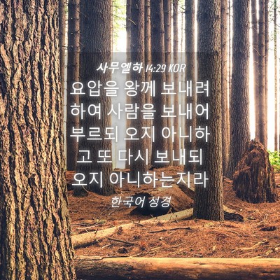 Picture 04 - 사무엘하 14:29 KOR - 요압을 왕께 보내려 하여 사람을 - Bible Verse Picture