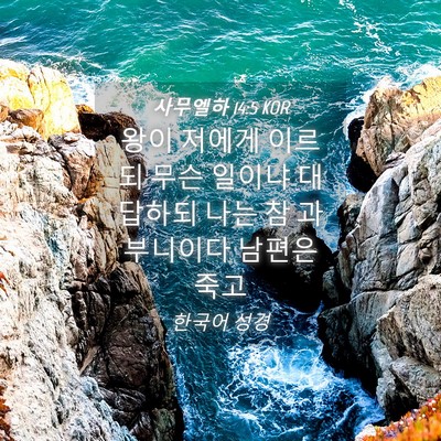 Picture 04 - 사무엘하 14:5 KOR - 왕이 저에게 이르되 무슨 일이냐 - Bible Verse Picture