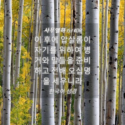 Picture 04 - 사무엘하 15:1 KOR - 이 후에 압살롬이 자기를 위하여 - Bible Verse Picture