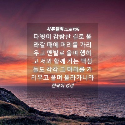 Picture 04 - 사무엘하 15:30 KOR - 다윗이 감람산 길로 올라갈 때에 - Bible Verse Picture