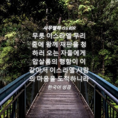 Picture 04 - 사무엘하 15:6 KOR - 무릇 이스라엘 무리 중에 왕께 - Bible Verse Picture