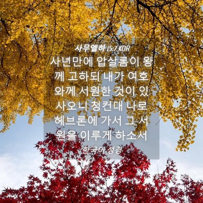 Picture 04 - 사무엘하 15:7 KOR - 사년만에 압살롬이 왕께 고하되 내가 - Bible Verse Picture