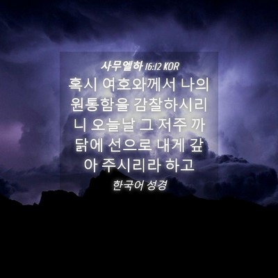Picture 04 - 사무엘하 16:12 KOR - 혹시 여호와께서 나의 원통함을 - Bible Verse Picture