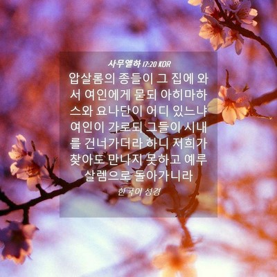 Picture 04 - 사무엘하 17:20 KOR - 압살롬의 종들이 그 집에 와서 - Bible Verse Picture