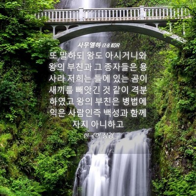 Picture 04 - 사무엘하 17:8 KOR - 또 말하되 왕도 아시거니와 왕의 - Bible Verse Picture
