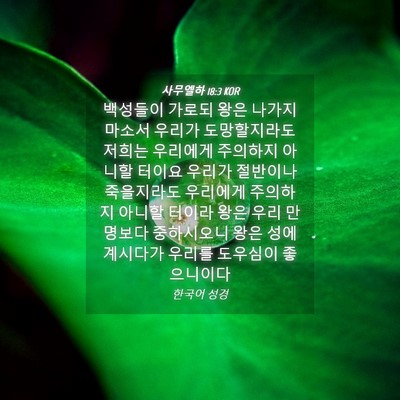 Picture 04 - 사무엘하 18:3 KOR - 백성들이 가로되 왕은 나가지 마소서 - Bible Verse Picture