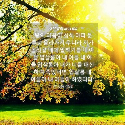 Picture 04 - 사무엘하 18:33 KOR - 