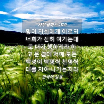 Picture 04 - 사무엘하 18:4 KOR - 왕이 저희에게 이르되 너희가 선히 - Bible Verse Picture