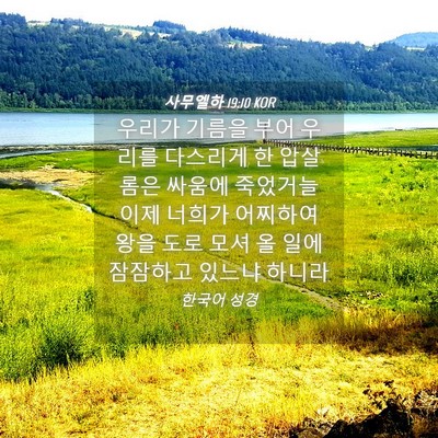 Picture 04 - 사무엘하 19:10 KOR - 우리가 기름을 부어 우리를 다스리게 - Bible Verse Picture