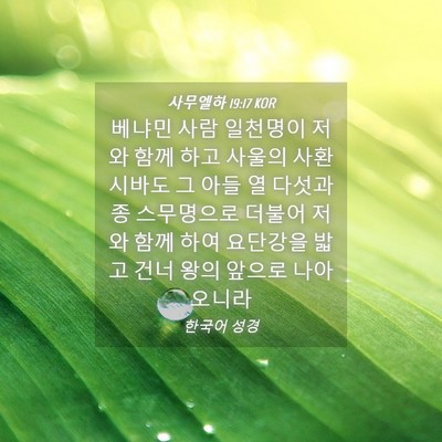 Picture 04 - 사무엘하 19:17 KOR - 베냐민 사람 일천명이 저와 함께 - Bible Verse Picture