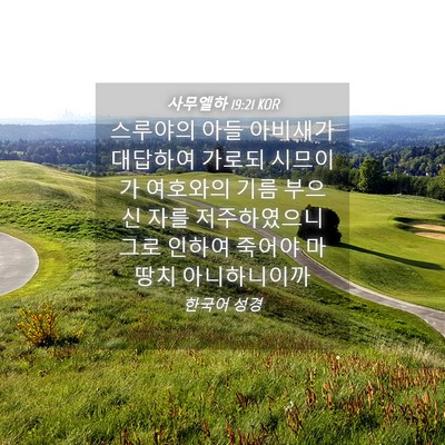 Picture 04 - 사무엘하 19:21 KOR - 스루야의 아들 아비새가 대답하여 - Bible Verse Picture