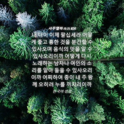 Picture 04 - 사무엘하 19:35 KOR - 내 나이 이제 팔십세라 어떻게 좋고 - Bible Verse Picture