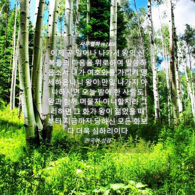 Picture 04 - 사무엘하 19:7 KOR - 이제 곧 일어나 나가서 왕의 - Bible Verse Picture