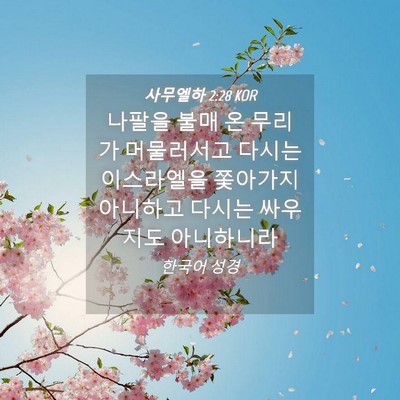 Picture 04 - 사무엘하 2:28 KOR - 나팔을 불매 온 무리가 머물러서고 - Bible Verse Picture
