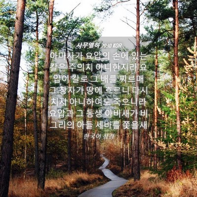 Picture 04 - 사무엘하 20:10 KOR - 아마사가 요압의 손에 있는 칼은 - Bible Verse Picture