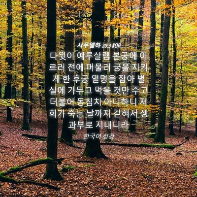 Picture 04 - 사무엘하 20:3 KOR - 다윗이 예루살렘 본궁에 이르러 전에 - Bible Verse Picture