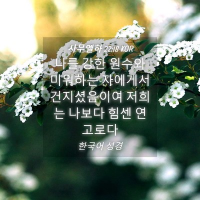 Picture 04 - 사무엘하 22:18 KOR - 나를 강한 원수와 미워하는 자에게서 - Bible Verse Picture