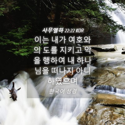 Picture 04 - 사무엘하 22:22 KOR - 이는 내가 여호와의 도를 지키고 - Bible Verse Picture