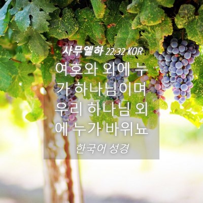 Picture 04 - 사무엘하 22:32 KOR - 여호와 외에 누가 하나님이며 우리 - Bible Verse Picture