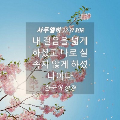 Picture 04 - 사무엘하 22:37 KOR - 내 걸음을 넓게 하셨고 나로 실족지 - Bible Verse Picture
