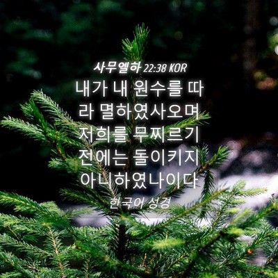 Picture 04 - 사무엘하 22:38 KOR - 내가 내 원수를 따라 멸하였사오며 - Bible Verse Picture