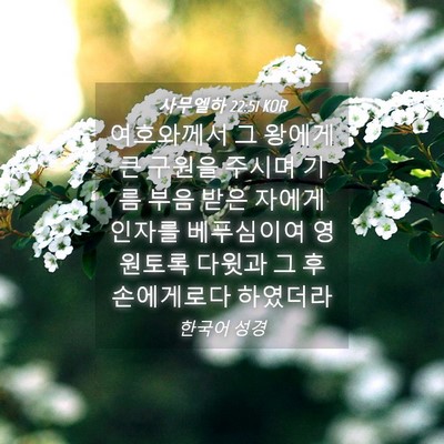 Picture 04 - 사무엘하 22:51 KOR - 여호와께서 그 왕에게 큰 구원을 - Bible Verse Picture